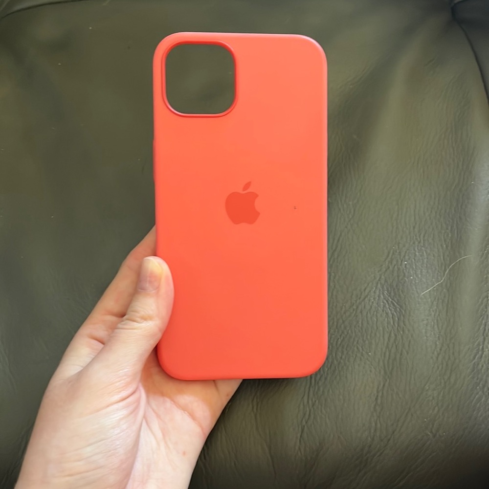 iPhone 13 apple case